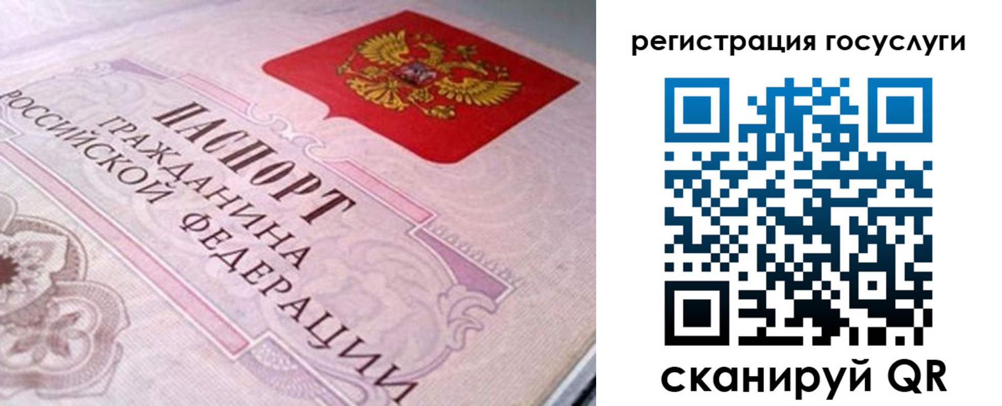 где прописаться в Тихорецке